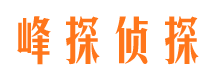 宁德市出轨取证